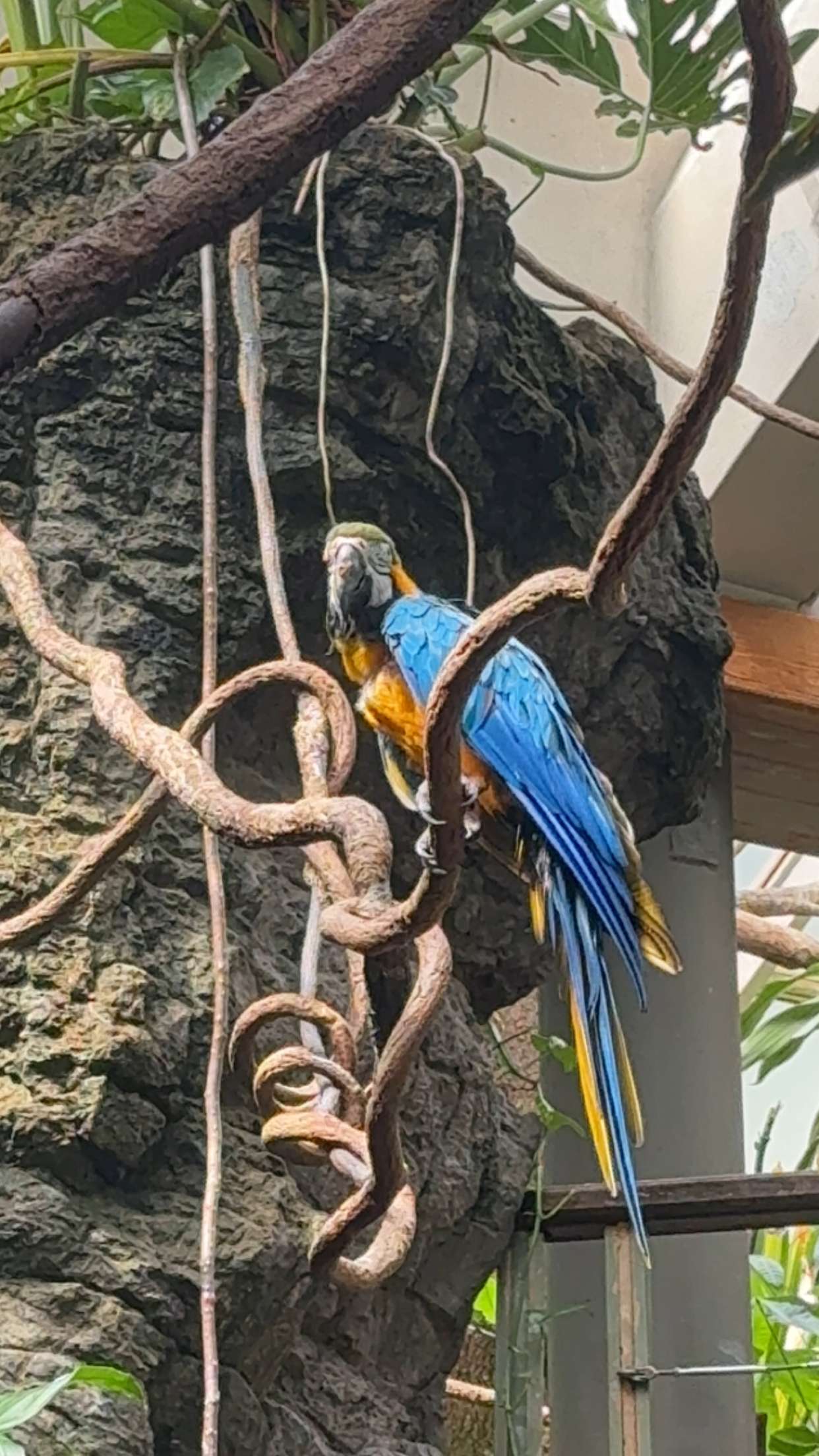 chloerosenbaum snapchat image archive image