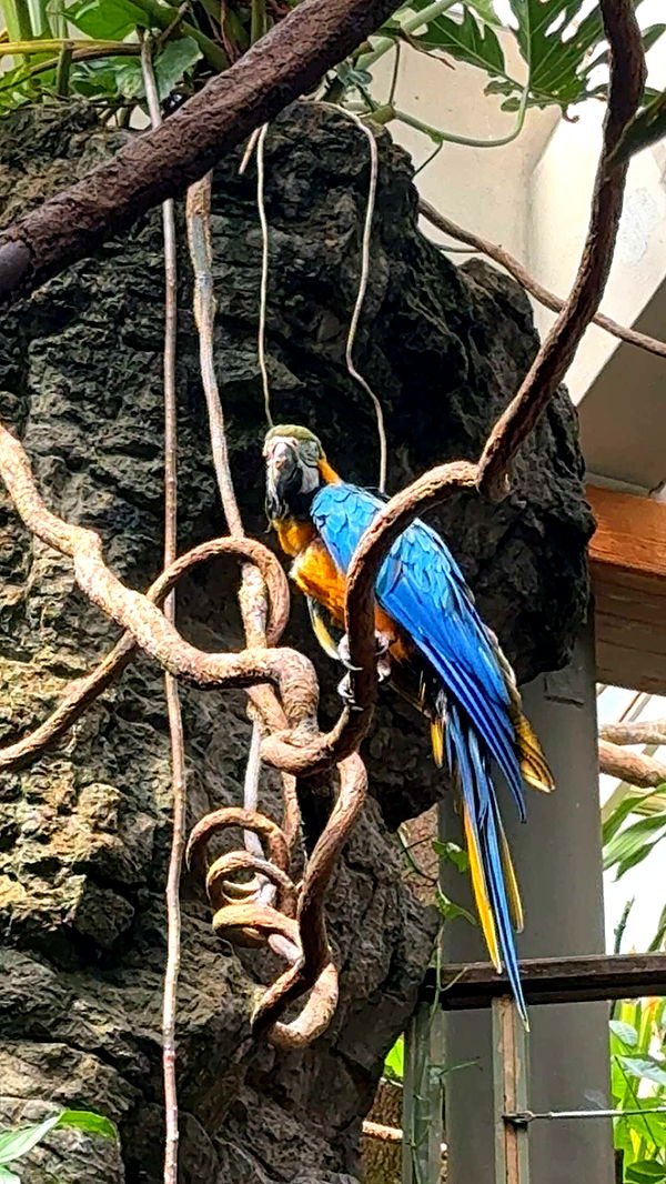 chloerosenbaum image ~ Altpins