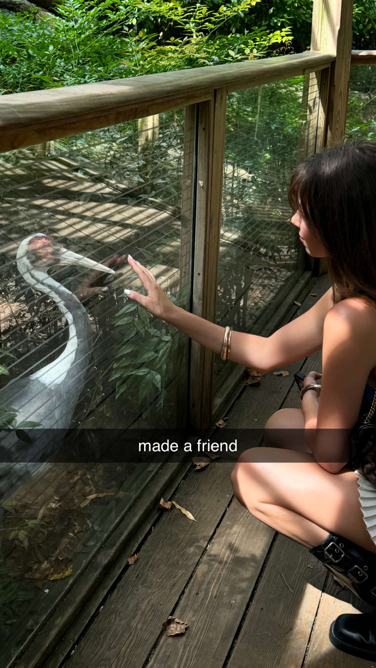 chloerosenbaum snapchat image archive image