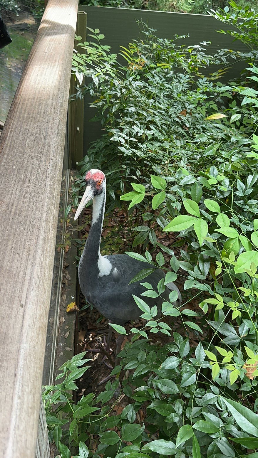 chloerosenbaum snapchat image archive image