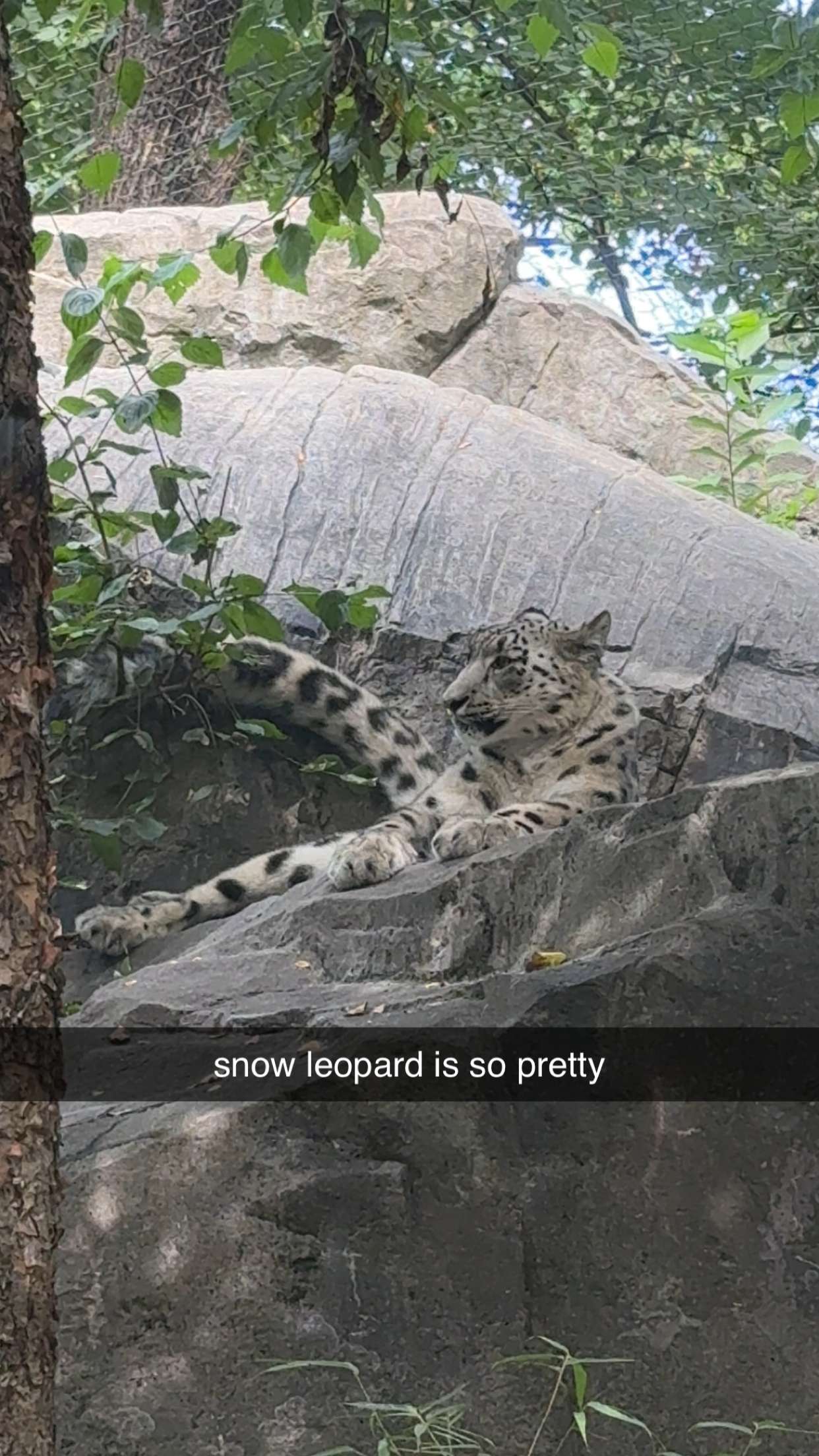 chloerosenbaum snapchat image archive image