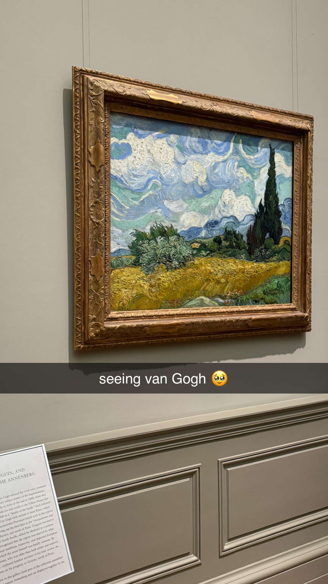 chloerosenbaum snapchat image archive image