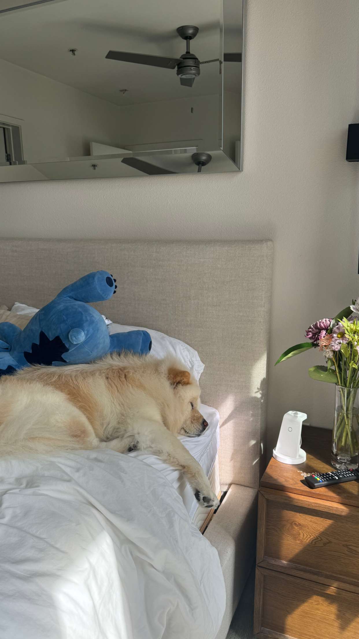 chloerosenbaum snapchat image archive image