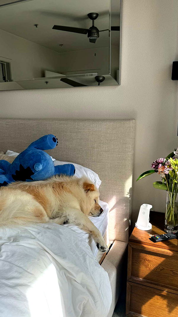 chloerosenbaum image ~ Altpins