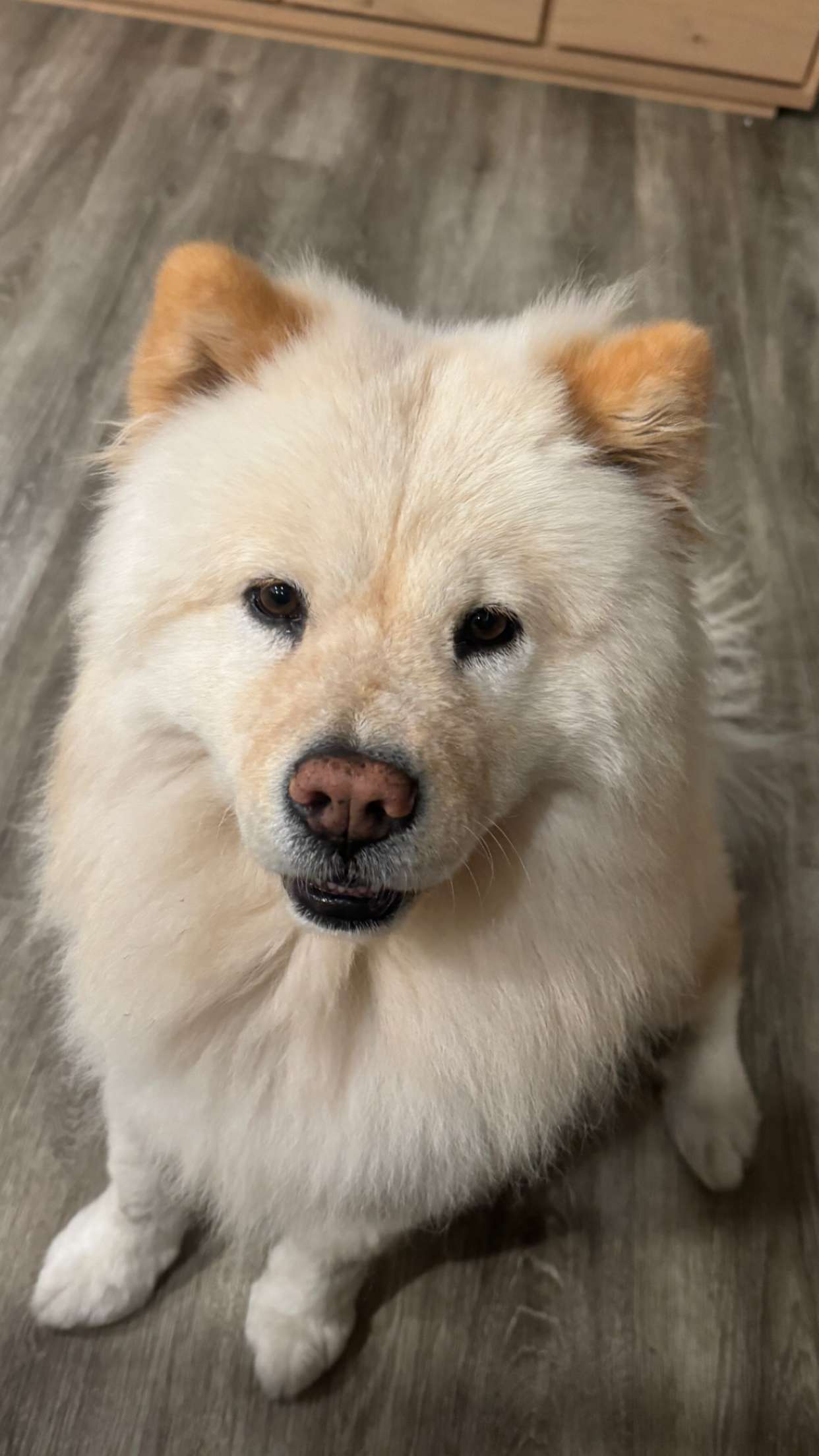 chloerosenbaum snapchat image archive image