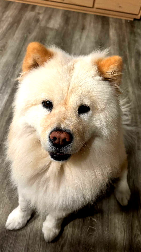 chloerosenbaum image ~ Altpins