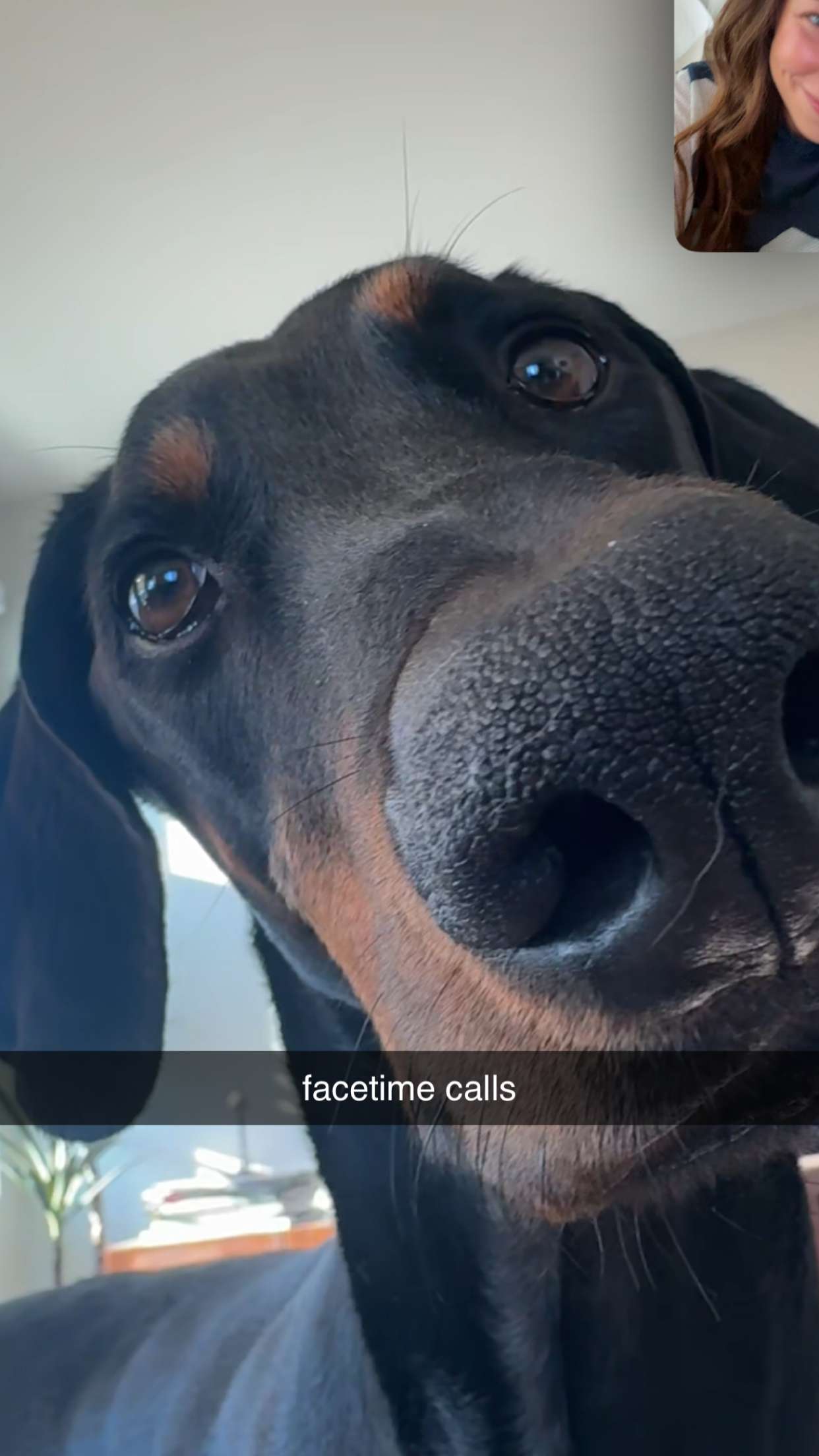 chloerosenbaum snapchat image archive image