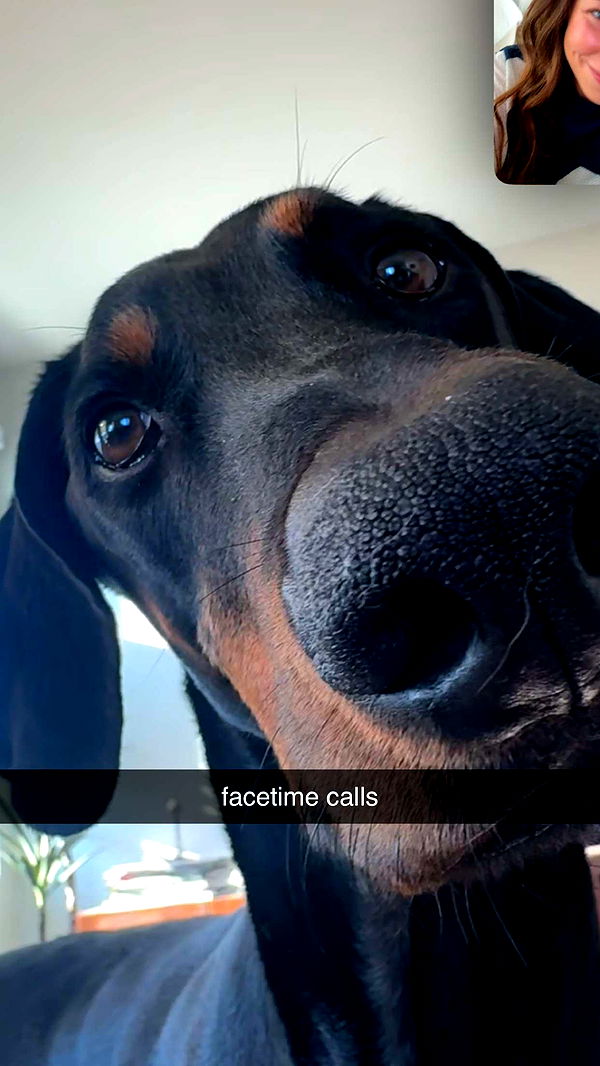 chloerosenbaum image ~ Altpins