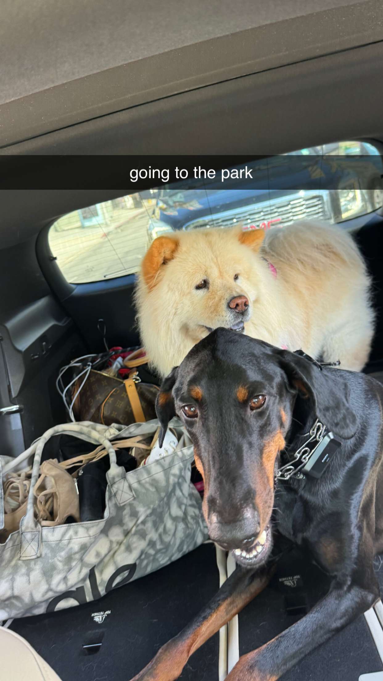 chloerosenbaum snapchat image archive image