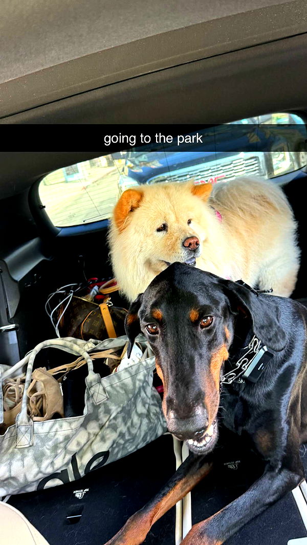 chloerosenbaum image ~ Altpins