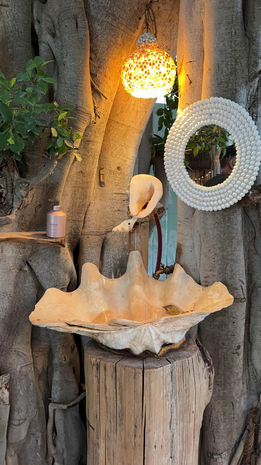 chloerosenbaum snapchat image archive image