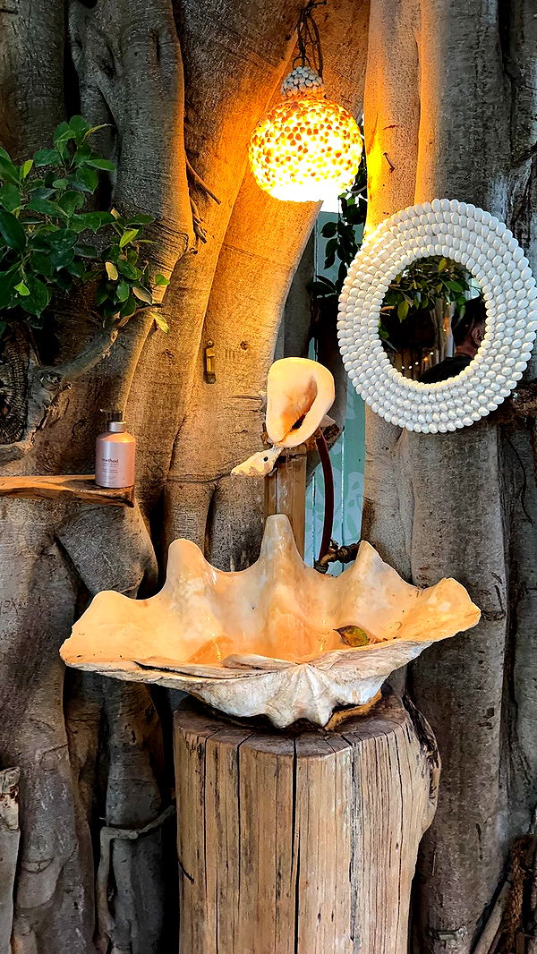 chloerosenbaum image ~ Altpins