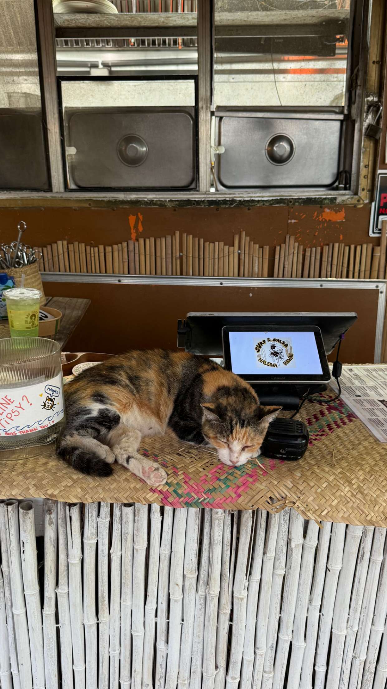 chloerosenbaum snapchat image archive image