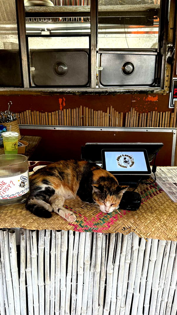 chloerosenbaum image ~ Altpins