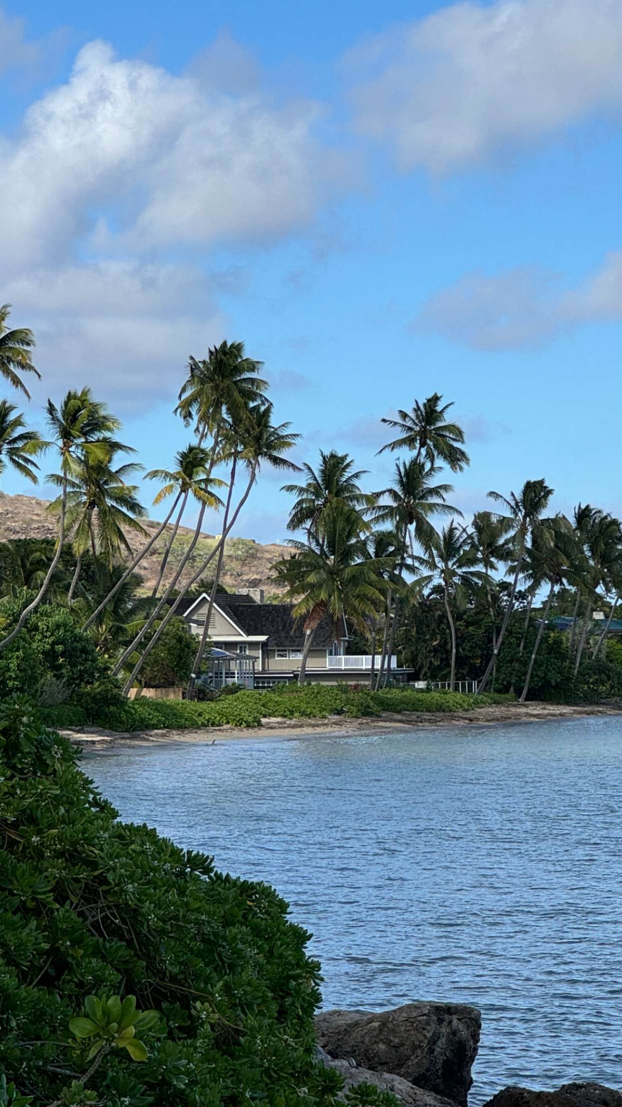 chloerosenbaum snapchat image archive image