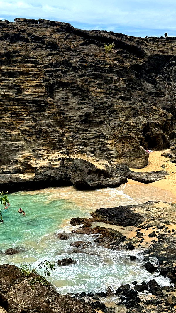 chloerosenbaum image ~ Altpins