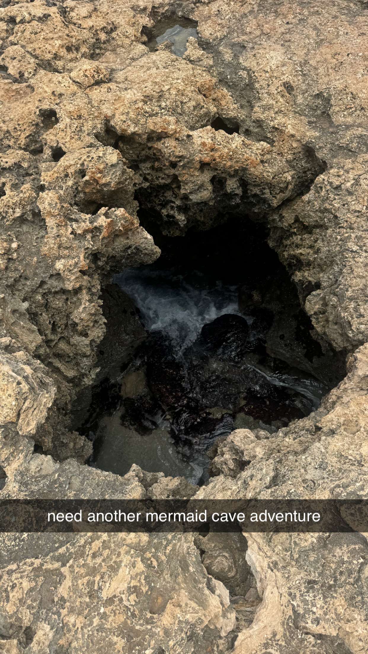 chloerosenbaum snapchat image archive image