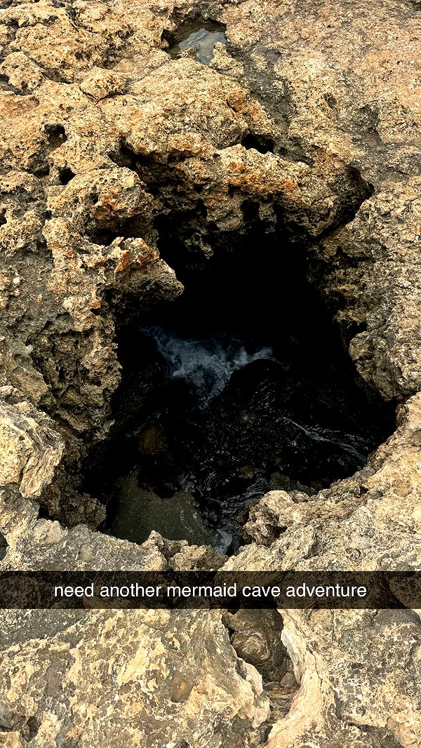 chloerosenbaum image ~ Altpins