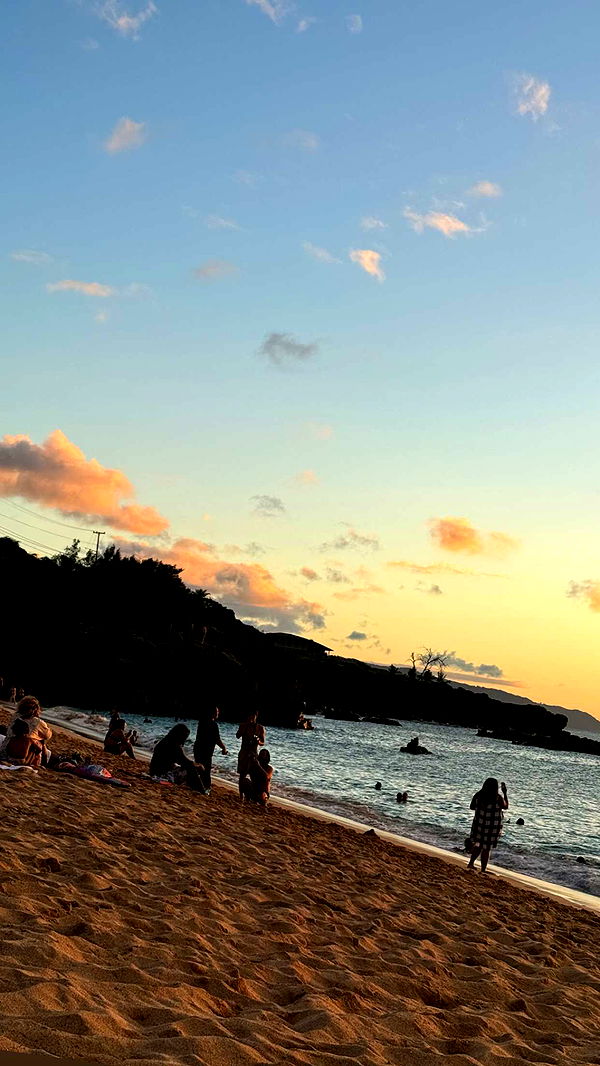 chloerosenbaum image ~ Altpins