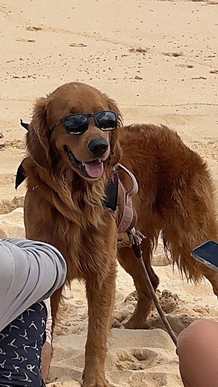 chloerosenbaum snapchat image archive image