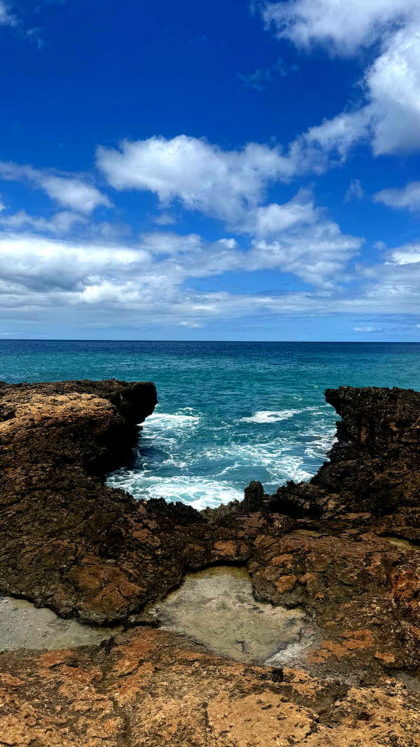 chloerosenbaum image ~ Altpins