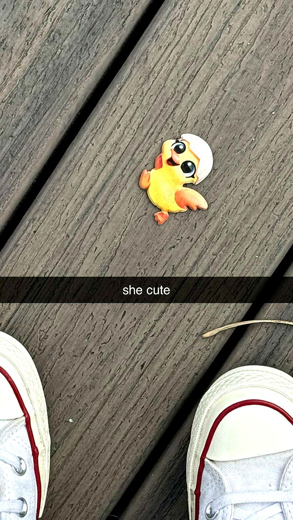 chloerosenbaum image ~ Altpins