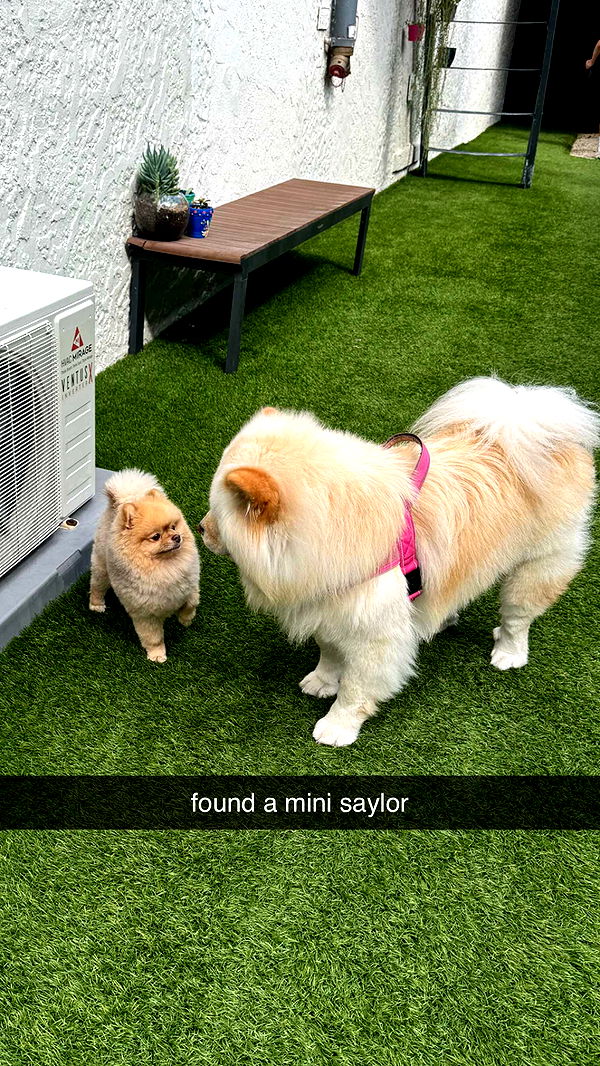 chloerosenbaum image ~ Altpins