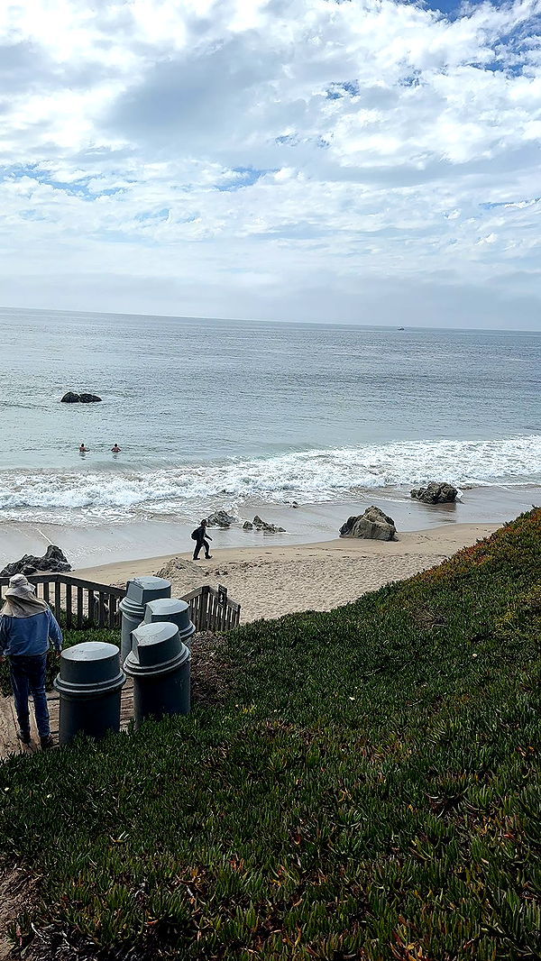 chloerosenbaum image ~ Altpins