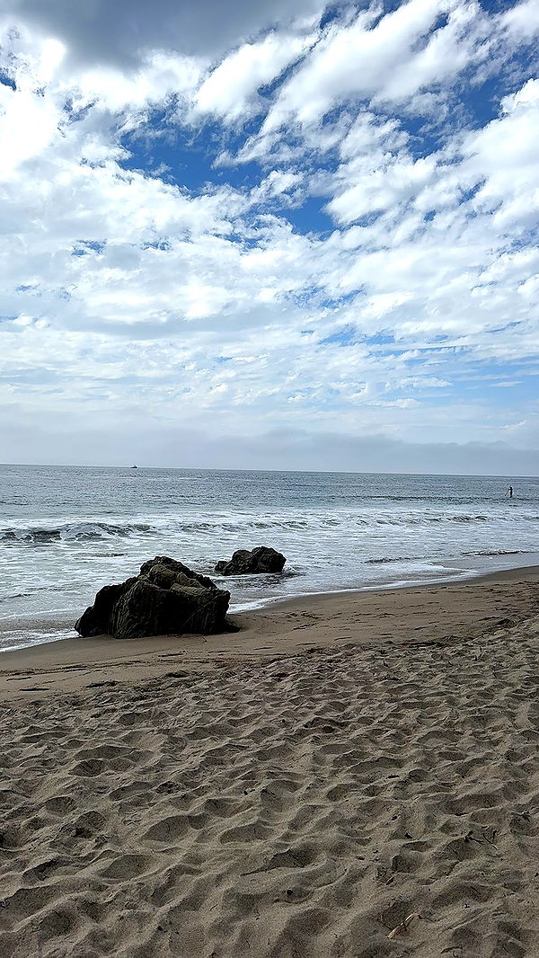 chloerosenbaum image ~ Altpins