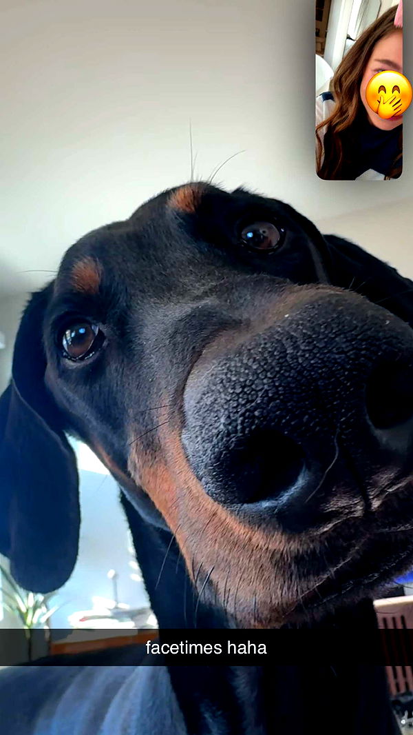 chloerosenbaum image ~ Altpins