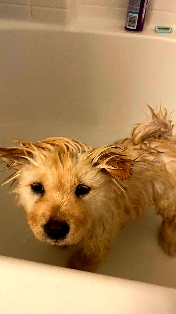 chloerosenbaum image ~ Altpins