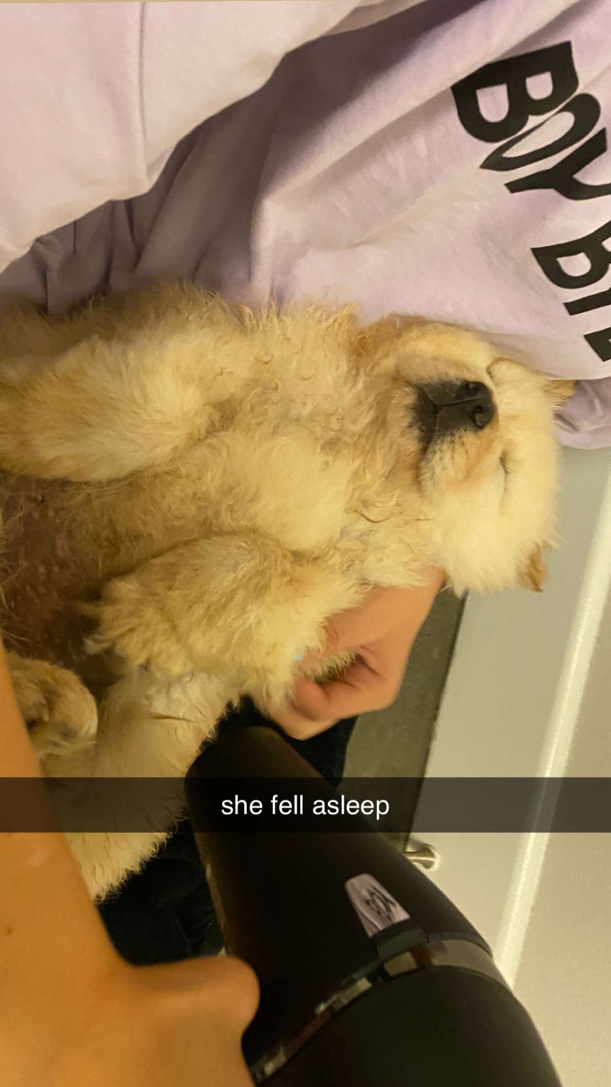 chloerosenbaum snapchat image archive image