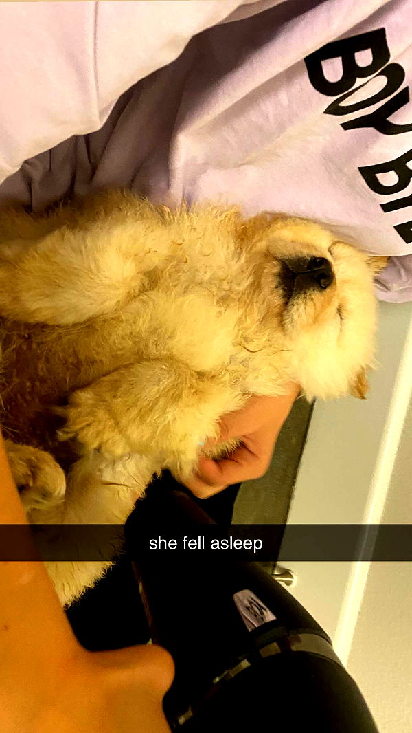 chloerosenbaum image ~ Altpins