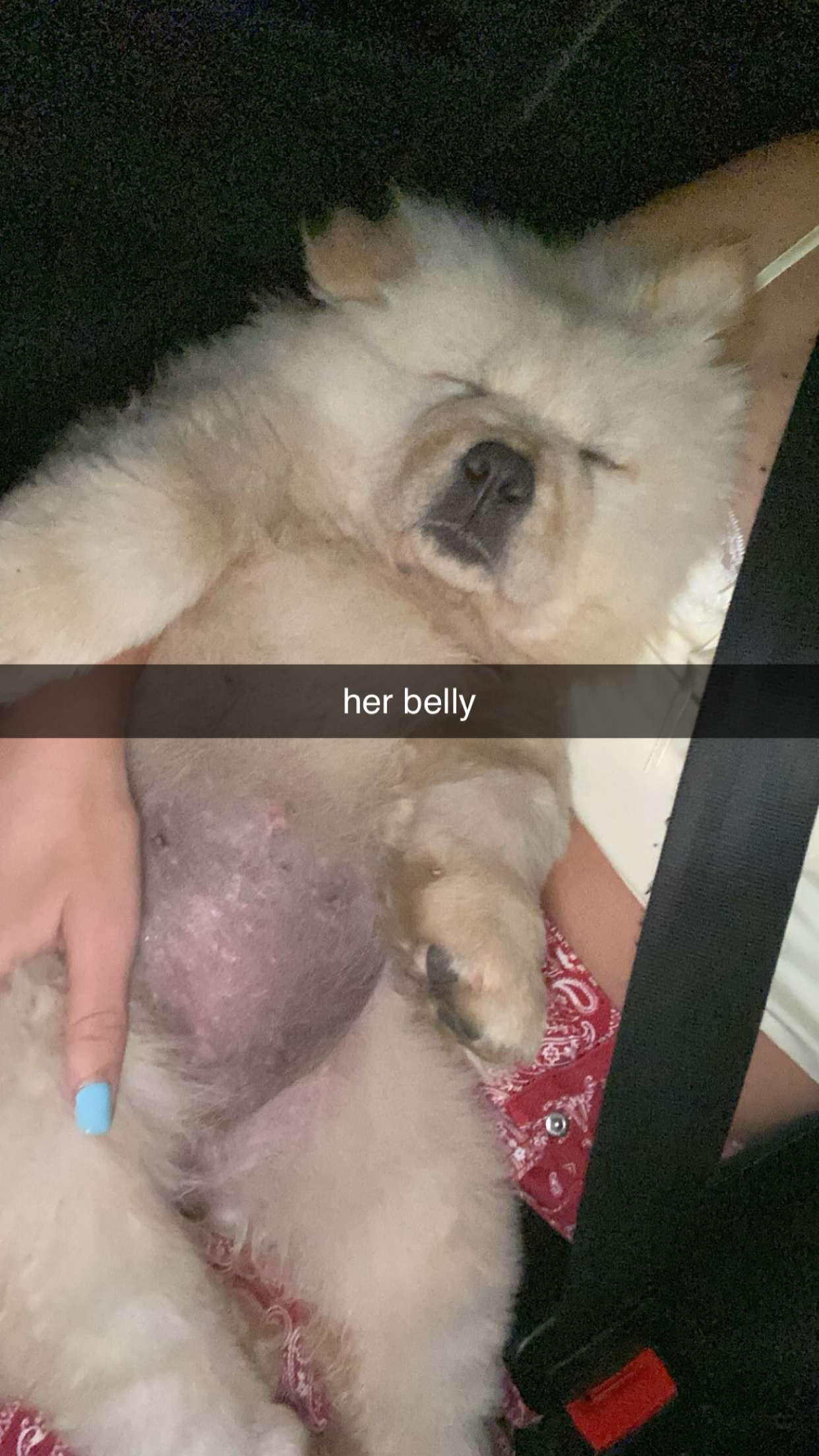 chloerosenbaum snapchat image archive image