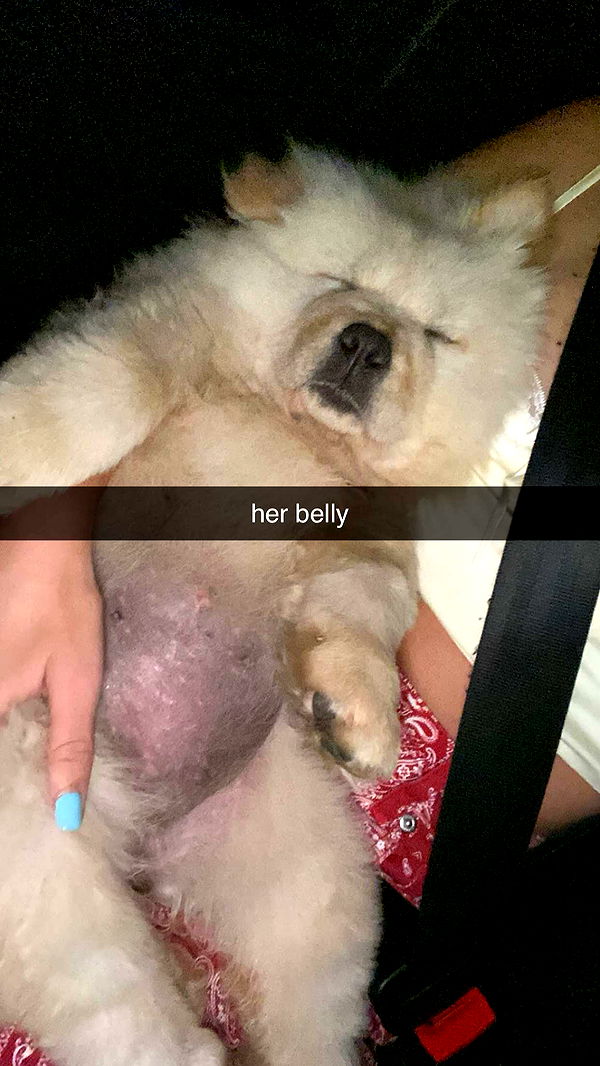 chloerosenbaum image ~ Altpins