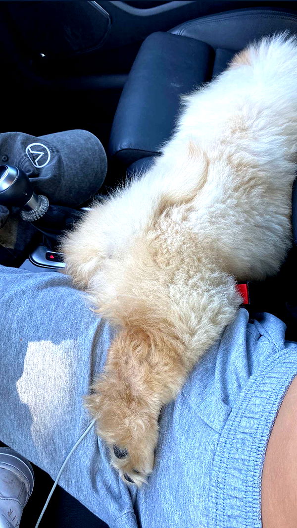 chloerosenbaum image ~ Altpins