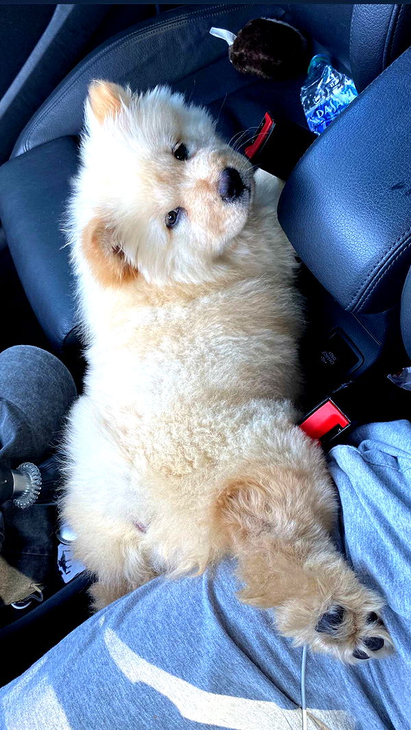 chloerosenbaum image ~ Altpins