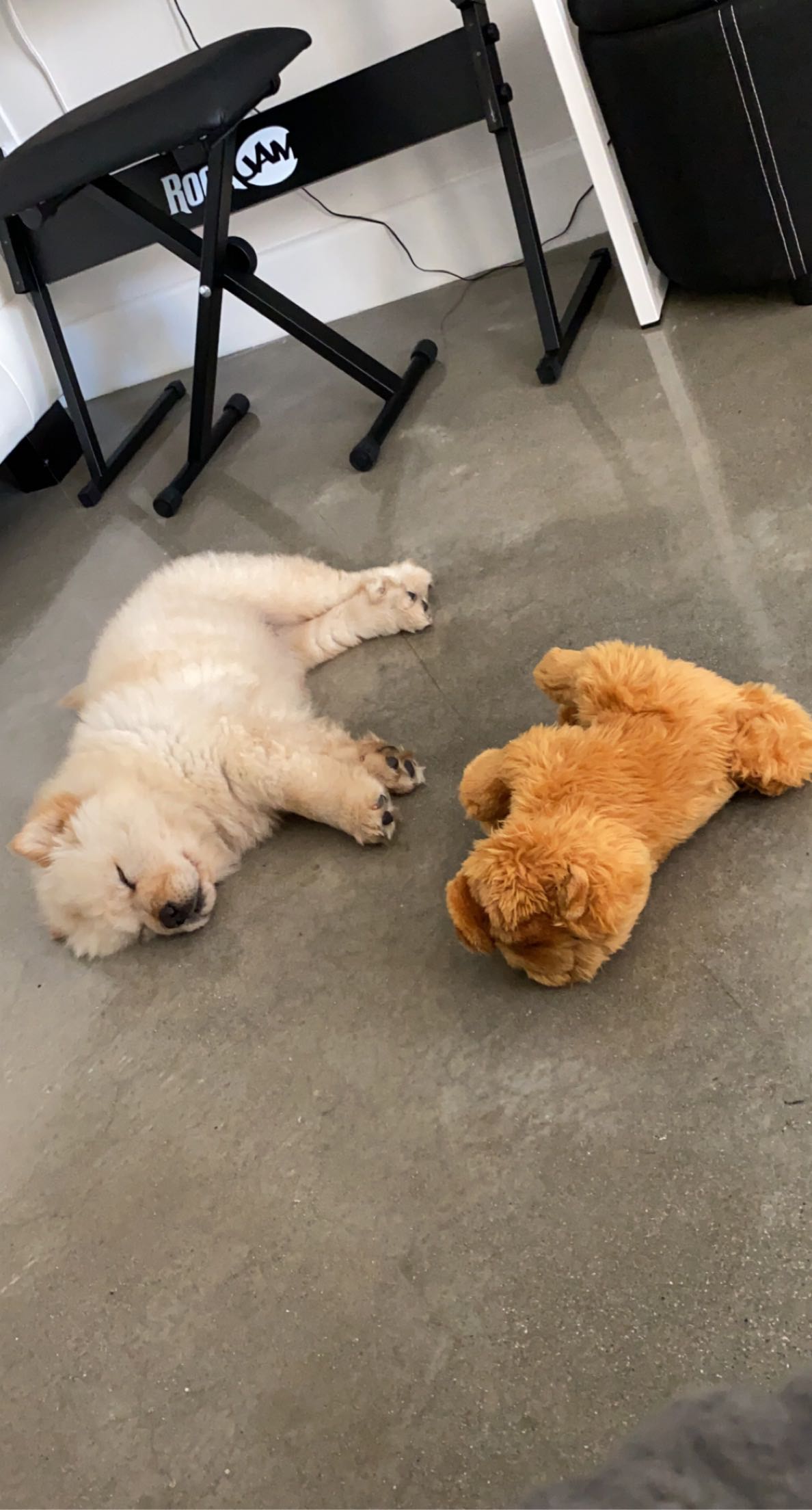 chloerosenbaum snapchat image archive image