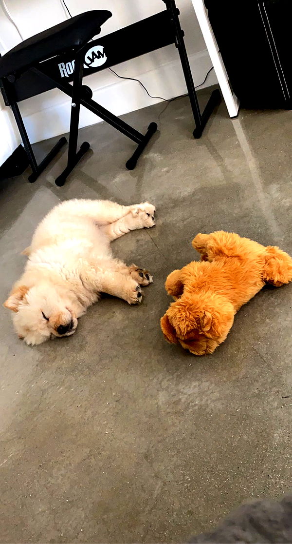 chloerosenbaum image ~ Altpins