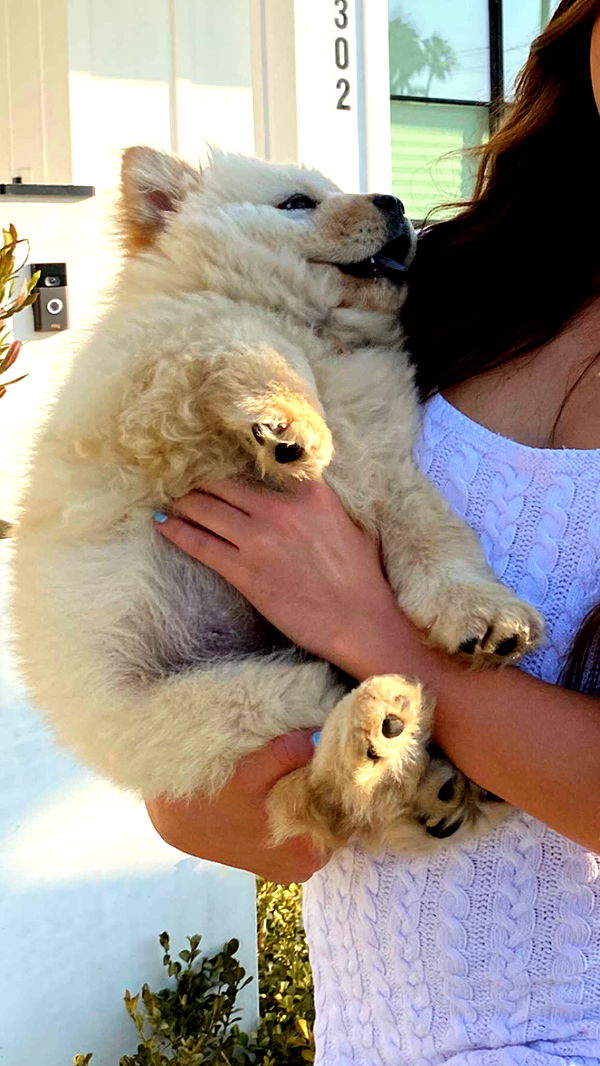 chloerosenbaum image ~ Altpins