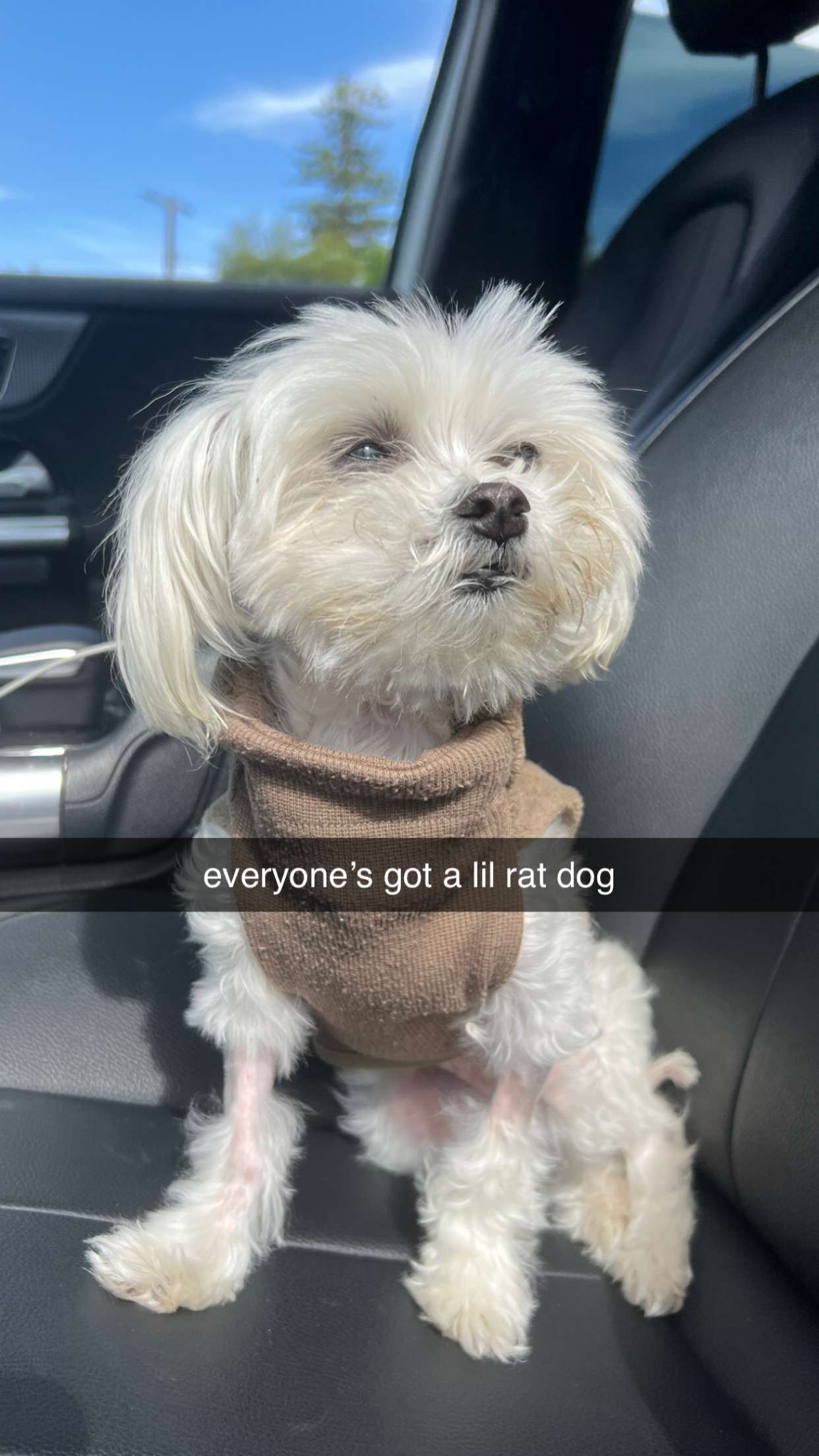 chloerosenbaum snapchat image archive image