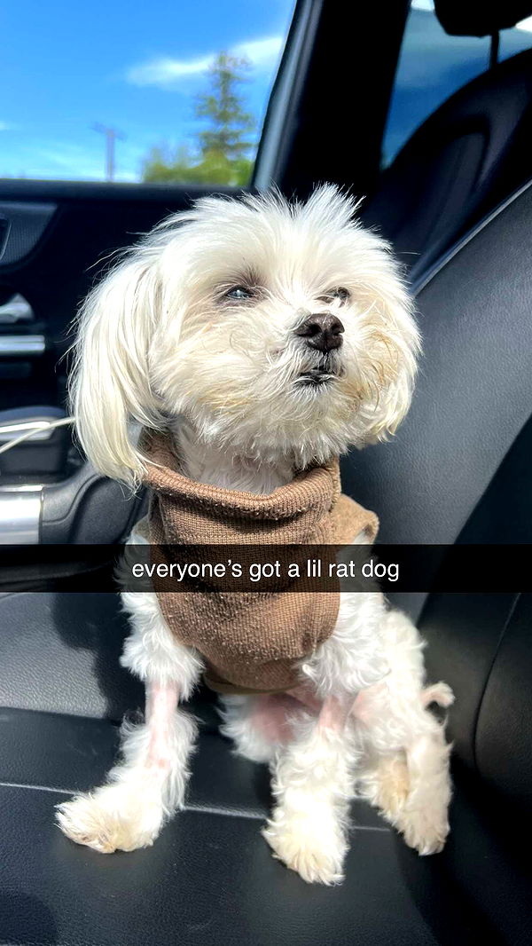 chloerosenbaum image ~ Altpins