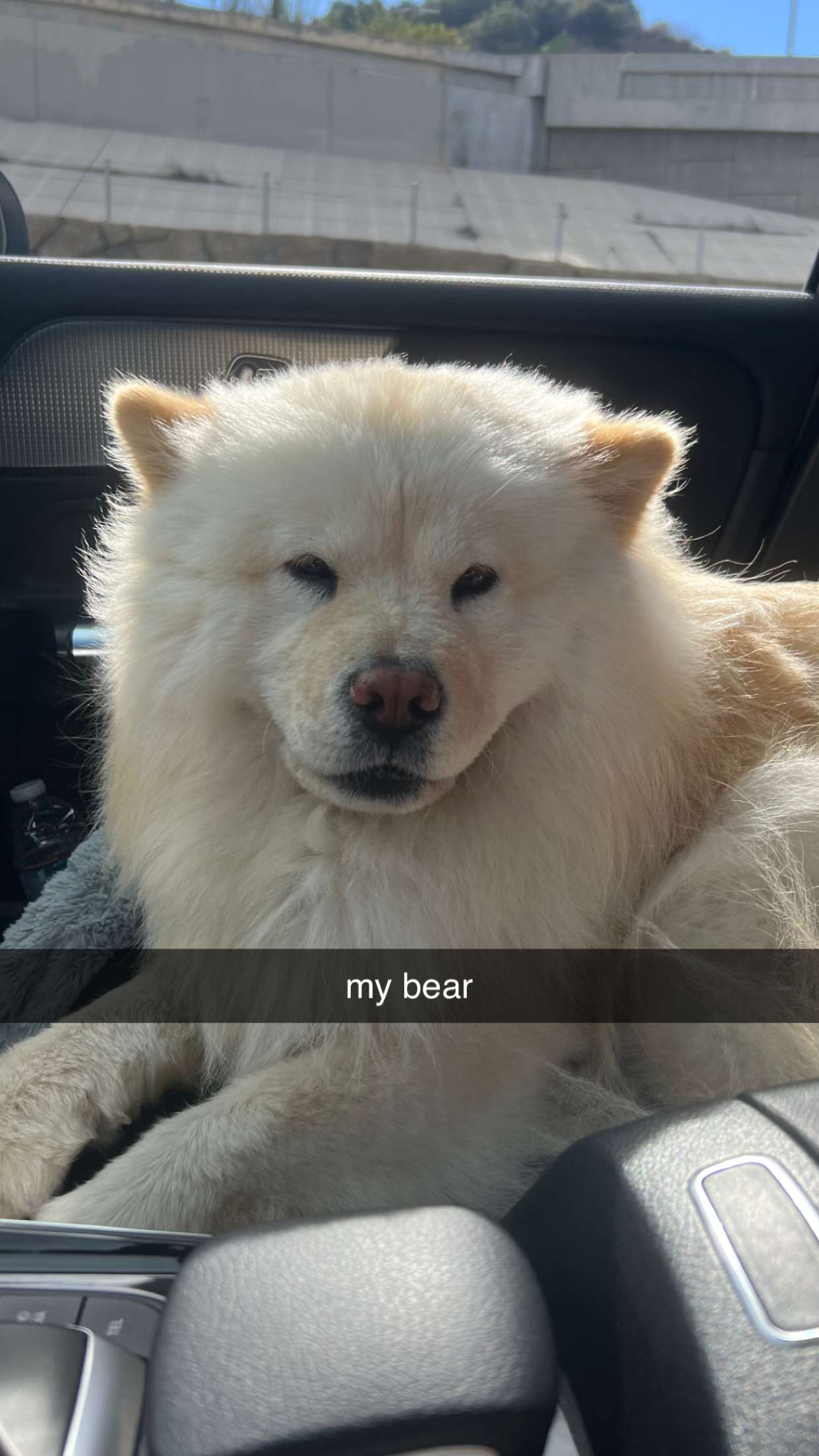 chloerosenbaum snapchat image archive image