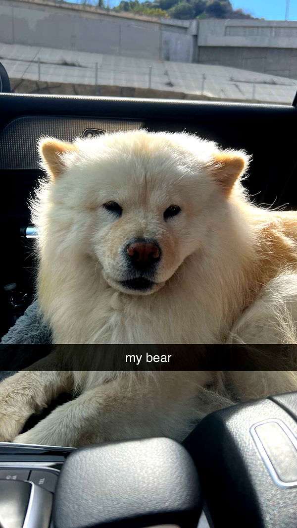 chloerosenbaum image ~ Altpins