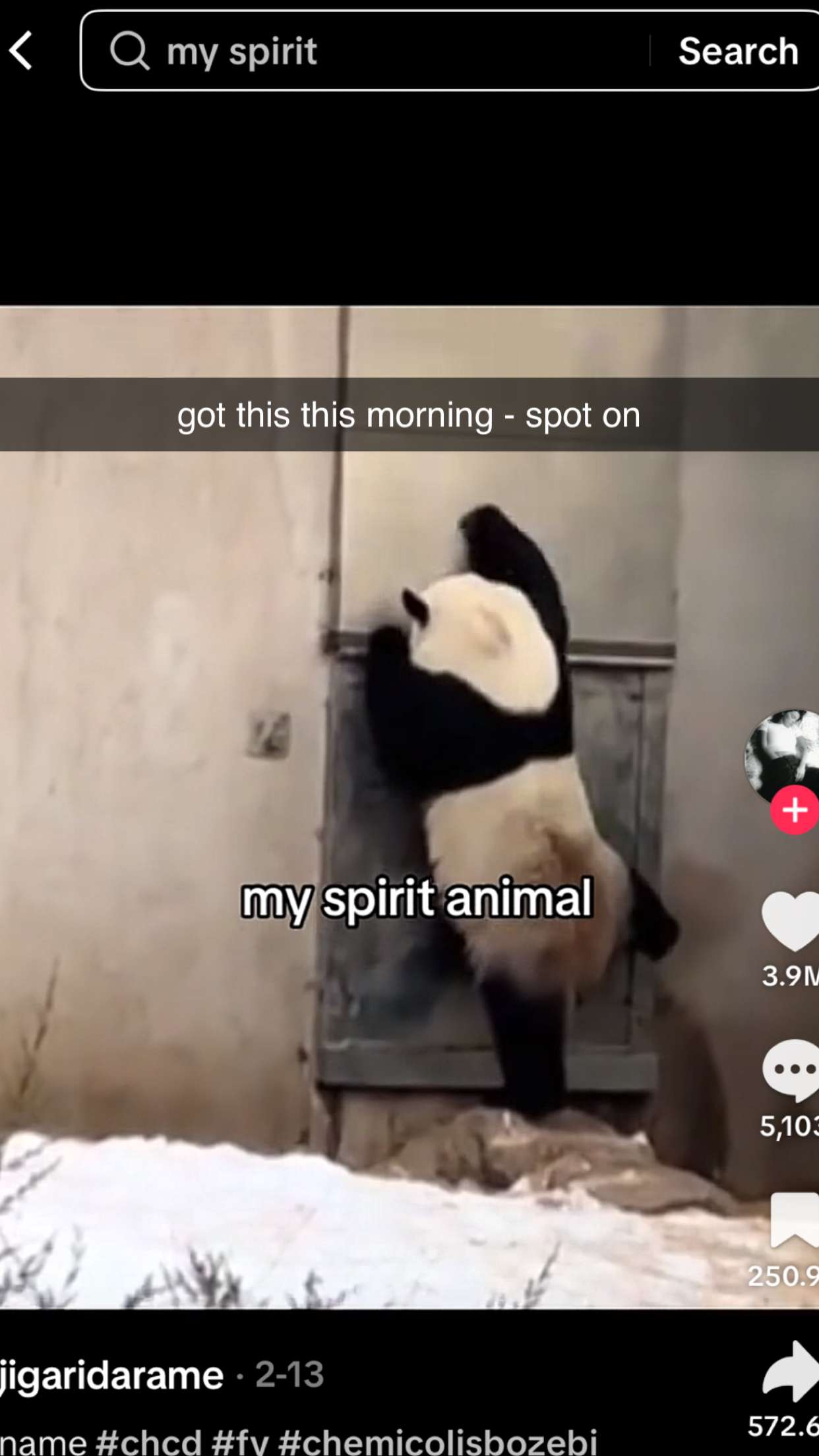 chloerosenbaum snapchat image archive image