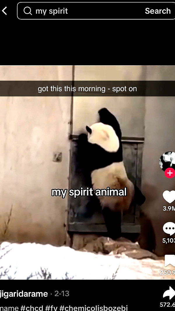 chloerosenbaum image ~ Altpins