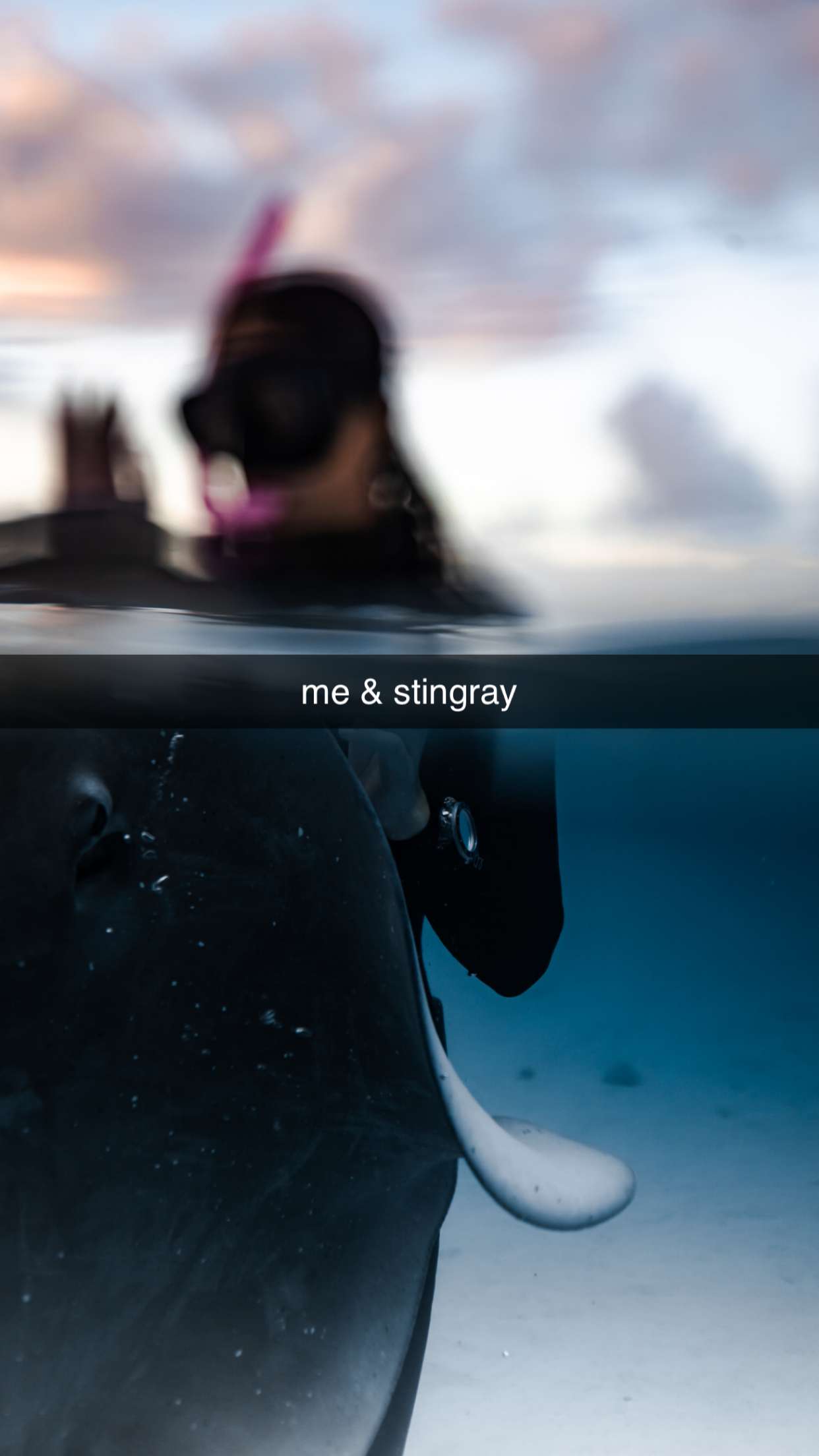 chloerosenbaum snapchat image archive image