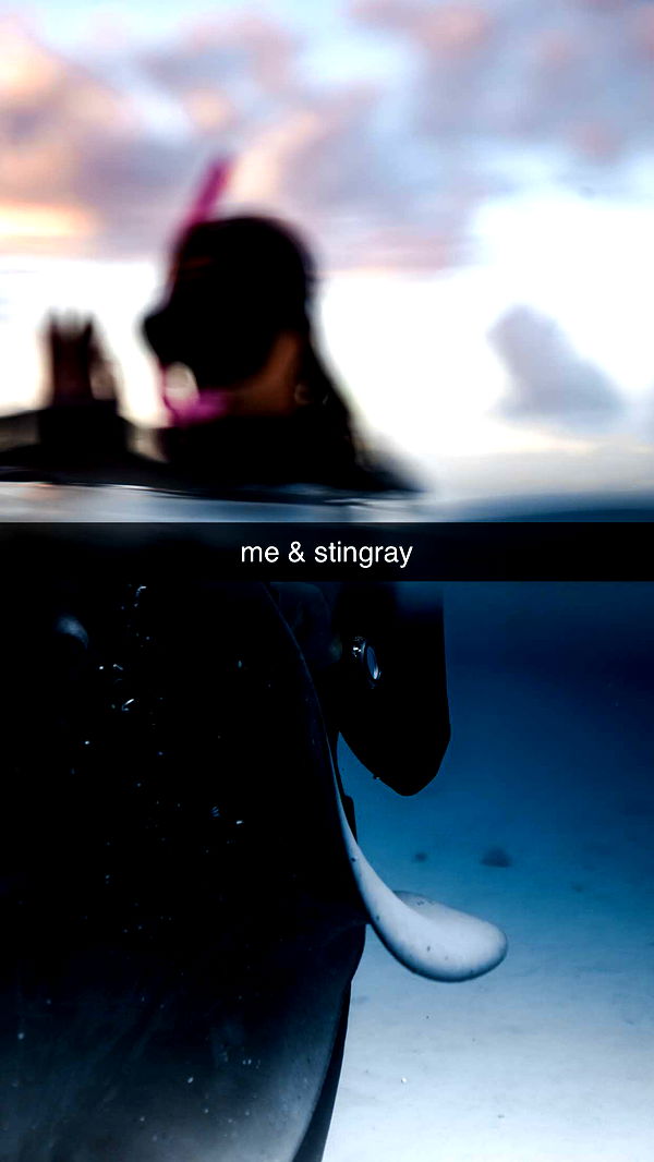 chloerosenbaum image ~ Altpins