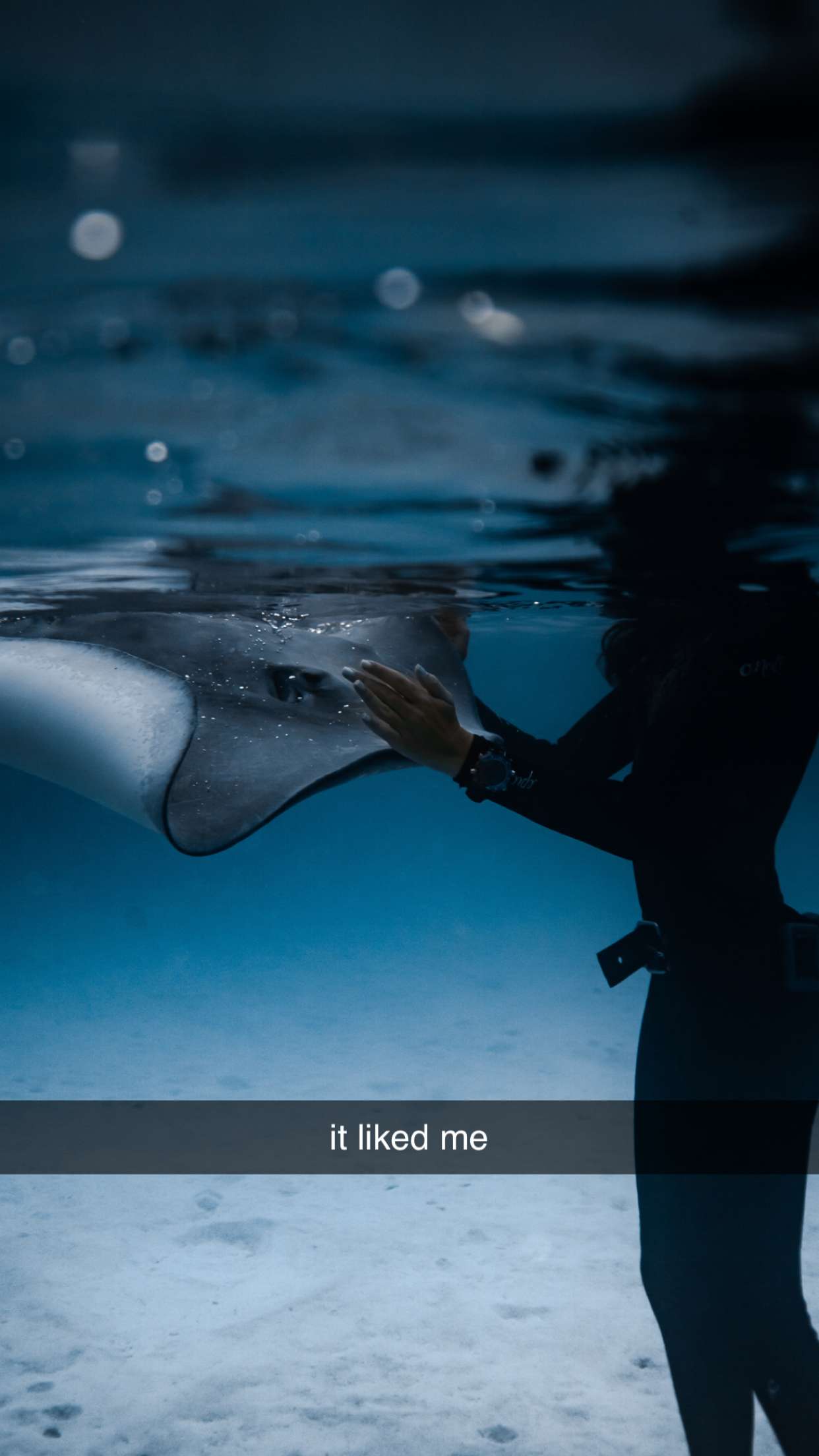 chloerosenbaum snapchat image archive image