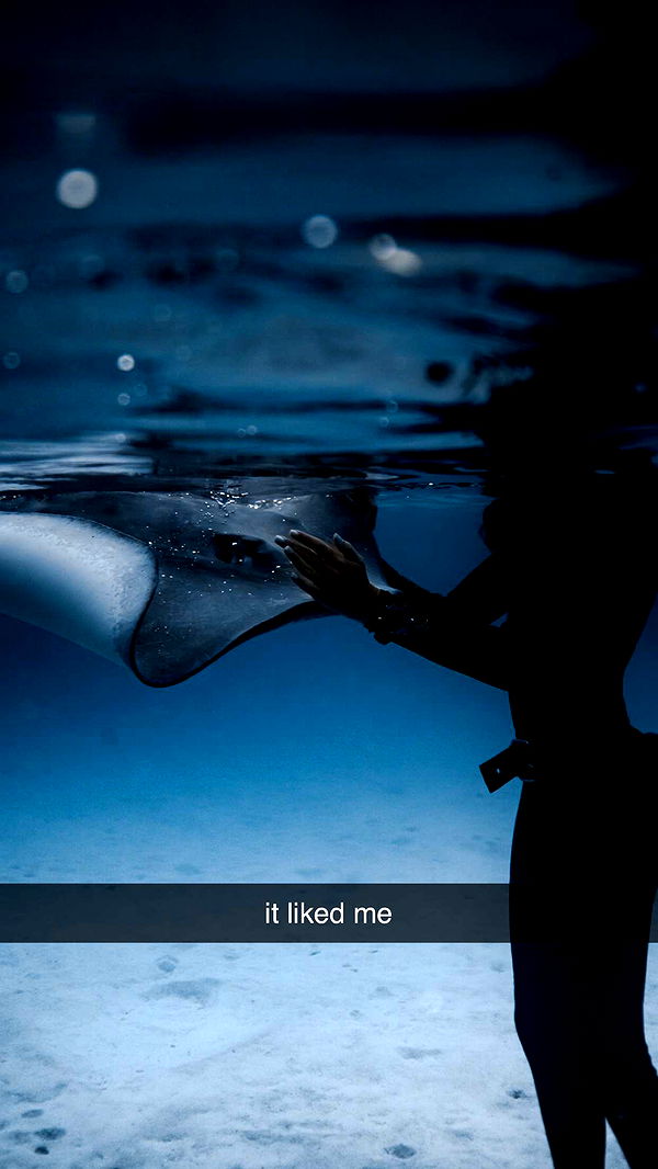 chloerosenbaum image ~ Altpins